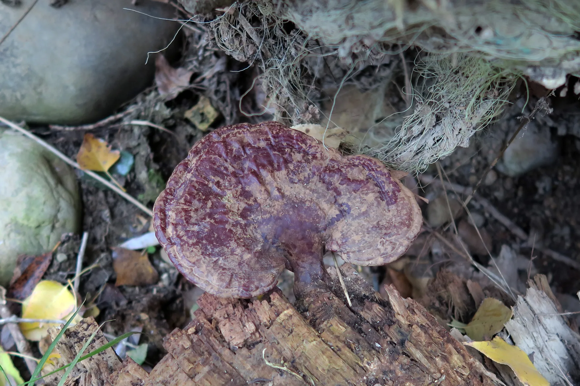 1 -
